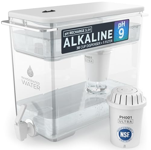 Invigorated Water Alkaline Water Filter Dispenser, 53-Cup Large Capacity