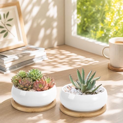 ZOUTOG 2 Pack 6" Ceramic Succulent Pots, White Planters with Drainage Tray