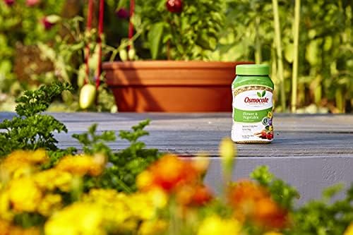 Osmocote Smart-Release Plant Food Flower & Vegetable, Plant Fertilizer, 1 lb. (12-Pack)
