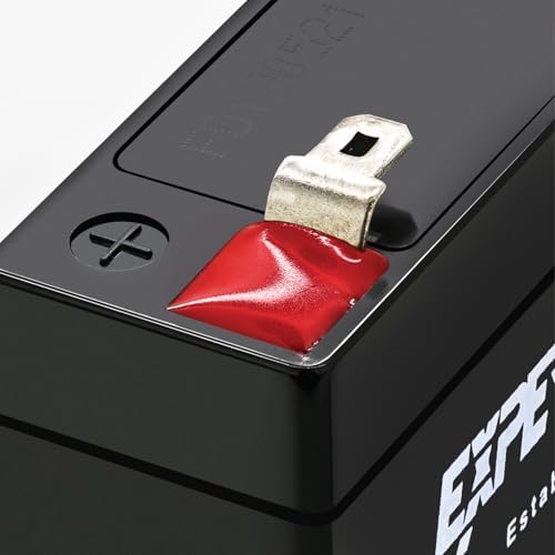 ExpertPower EXP612-1.2Ah 6V Rechargeable Battery, Alarm Battery Replacement for Security System, Home Alarm, GE XT Backup, Replaces DJW6-1.2
