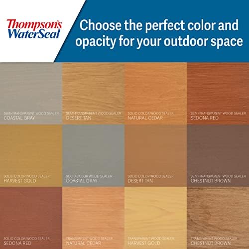 Thompson’s WaterSeal Multi-Surface Waterproofer Stain, Clear, 1 Gallon