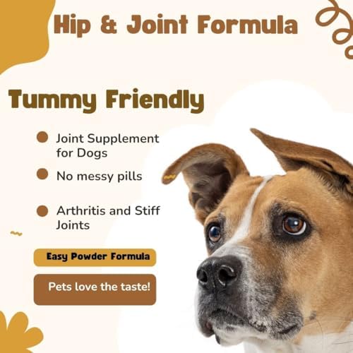 Nature's Pure Edge Glucosamine Powder for Dogs and Cats - Joint Supplement with Chondroitin MSM and Turmeric for Hip and Joint Support - Senior
