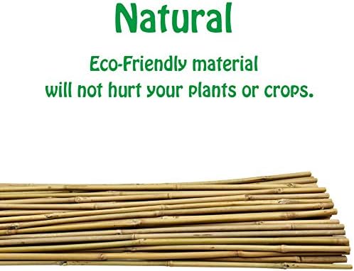 Natural Bamboo Trellis 24 Inches Tall, Mininfa Garden Ladder Trellis, Plant for Climbing Plants, Vegetables, Pots - 3 Pack