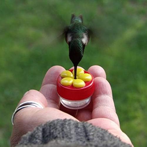 Naomo Handheld Hummingbird Feeders with Suction Cup, Multifunctional Mini Hummingbird Feeder with Perches for Outdoors