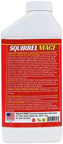 Nature's Mace Squirrel Mace Repellent 40 oz Spray | Squirrel and Chipmunk Repellent, Keep Squirrels Out of Your Garden, Attic, Bird Feeders, Fruit Trees, Plants, Potted Plants.