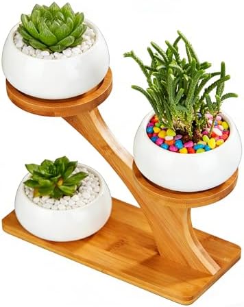 FLOWERPLUS Planter Pots Indoor