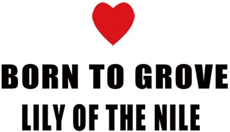 Born to Grove Lily of The NILE Decal Car Laptop Wall Sticker