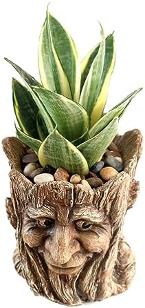 Funny Planter Head Face Plant Pot with Drainage Hole Resin Succulent Plant Holder Pencil Holder Desk Organizer Office Garden Gift (Smile Face)