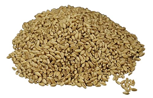 Hard Red Wheat Berries : Wheatland™ : 25 lb Bulk: Emergency Preparedness : Mylar : Oxygen Absorber : 30 Year Shelf Life : Non GMO: NO Glyphosate :