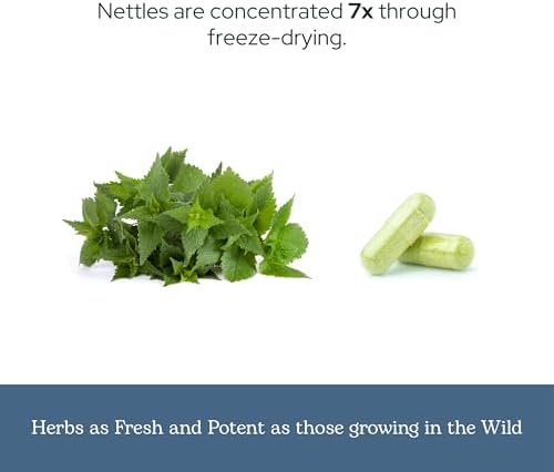 Eclectic Herb - Nettle Quercetin Capsules | Non-GMO, Vegan | 90 CT