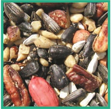 Cole's SF20 Special Feeder Bird Seed, 20-Pound