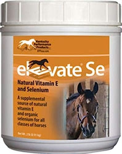 Elevate Se Natural Vitamin E and Selenium Powder for Horses, 2 Pound Container