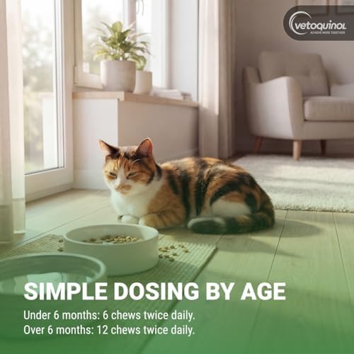 Vetoquinol Enisyl-F Lysine Bites - L-Lysine Chews for Cats & Kittens - Daily Supplement for Immune