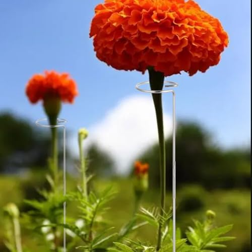 30 Inch Or 16 InchPlant Stakes for Flowers - 5 Pack, Adjustable Height