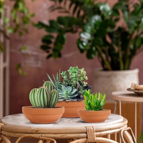 Laerjin Terracotta Pots, 6.43 Inch Shallow Pots with Drainage Hole, 6 Pack