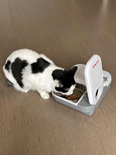 Cat Mate C200 Automatic 2 Meal Pet Feeder with Timer for Cats & Small Dogs