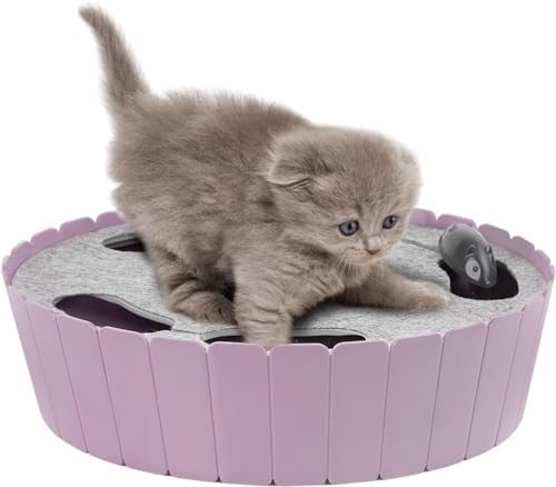 Pawaboo Interactive Cat Toy with Running Mouse, Automatic Track Kitten Toy | Electronic Motion Cat Toy for Indoor Cats, Pop and Play Hide Seek Cats Toys Hunting Mouse for Kitty Play Exercise, Green