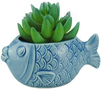 VanEnjoy 5" Ceramic Succulent Pot - Cute Ocean Blue Seashell Series, Conch Shaped Cactus Planter, Flower Pottery Bonsai (Seashell M)