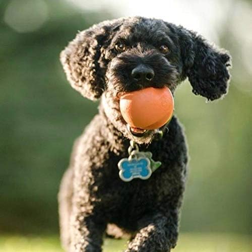 WEST PAW Zogoflex Jive Ball Dog Chew Toy – Bouncing Toys for Dogs, Fetch, Catch, Chewing, Play – Floatable, Recyclable Balls – Latex-Free, Non-Toxic, Dishwasher Safe Dog Toy, X-Small 2", Granny Smith