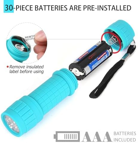 FASTPRO 10-Pack 9-LED Mini Flashlight Set with AAA Batteries Included | Small FLashlights with Lanyard, For Class Teaching, Camping, Wedding Favor
