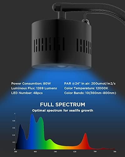 Lominie LED Aquarium Light, Planted Tank Light 4 Channels Remote Control 6500K Aquarium LED Lamp for Freshwater Fish Tank Refugium with Gooseneck (A20 Freshwater)