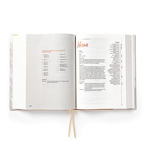 CSB Lifeway Women's Bible, Camel Cloth Over Board, Black Letter, Single-Column, Wide-Margins, Devotions, Articles, Word Studies, Character Profiles