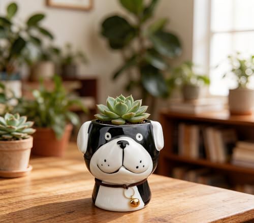 Cuteforyou Succulent Pots,Cute Animal Shaped Cartoon Ceramic Succulent Cactus Flower Planters -Plant Not Included，Cat