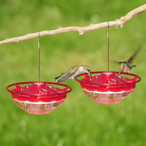 Aspects Mini HummBlossom Hummingbird Feeder, 4 oz, Rose (2-Pack)