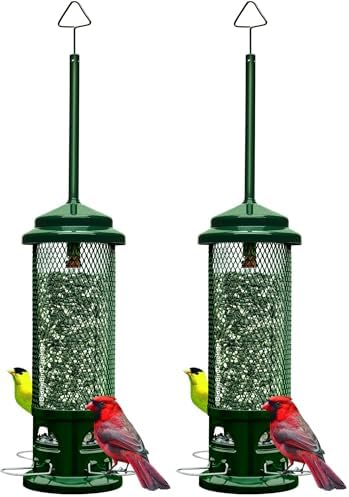 Squirrel Buster Legacy Squirrel-Proof Bird Feeder for Wild Birds – 4 Metal Removable Perches, 2.6 lb Seed Capacity, Chew-Proof Design, Easy to Clean, Green | Four removable metal perches, chew-proof construction, tool-free cleaning