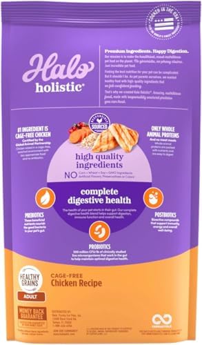 Halo Holistic Cage Free Chicken Cat Food, Healthy Grains Dry Cat Food, Complete Digestive Health, Kibble for Adult Cats, 6 lb Bag