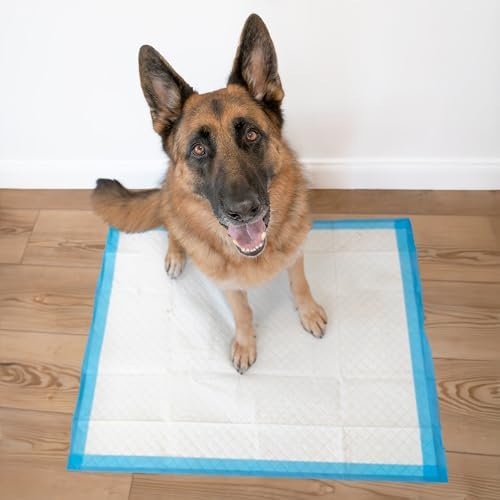 Four Paws Wee-Wee Superior Performance X-Large Dog Pee Pads, 40 Count | Puppy & dog potty training pads, housebreaking supplies, xl puppy pads, pet supplies, 24-hour floor protection, 28" x 34"