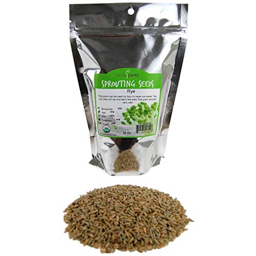 Handy Pantry Organic Rye Grain Seeds - Rye Seed 5 Lb Bulk Sprouting | Organic Rye Berries and Seeds for Flour, Meal, Pasta, Marble Bread, Cracked Grain, Sprouting, and Grass Growing