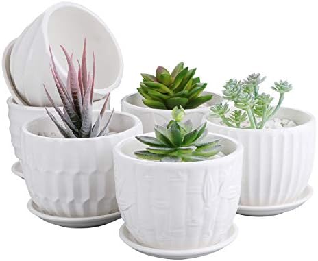 Flower Pots, 4 Inch Cylinder Ceramic Plant Pots with Connected Saucer, Mini Ceramic Planters for Succulent and Little Snake Plants (6 Pack, White)