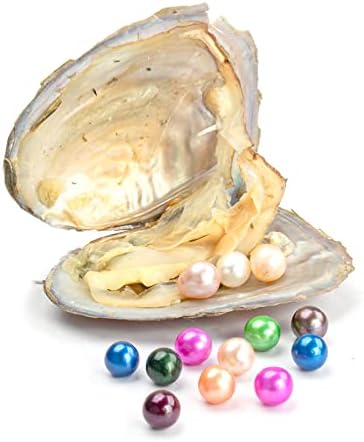 50 PC Freshwater Oyster with Pearls Inside Round Pearls Oysters Bulk 7-8mm Love Wish Pearl Party Kids Activity Birthday Gift | Includes 50