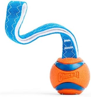 Chuckit! Ultra Tug Dog Toy - Ultra Ball on a Durable Nylon Cord Handle - Fetch and Tug-of-War Toy for Dogs - Size Large - For Breeds 60-100 lbs - 3-inch Diameter - Orange and Blue