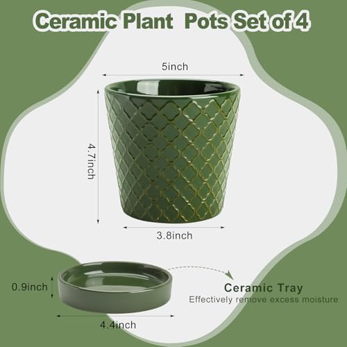 EFISPSS Ceramic Plant Pots, 5 Inch Planters with Drainage Holes and Ceramic Tray, Relief Design Flower Planter