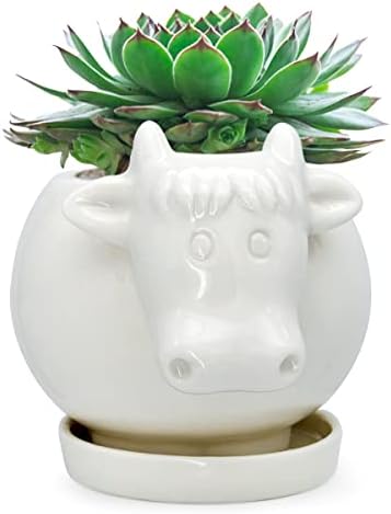 GeLive White Cow Succulent Pot, Small Ceramic Animal Planter with Drainage Hole & Saucer for Cactus, Mini Air Plants, Pencil Holder Brush Organizer, Indoor Home Office Desk Decor, Funny Gift