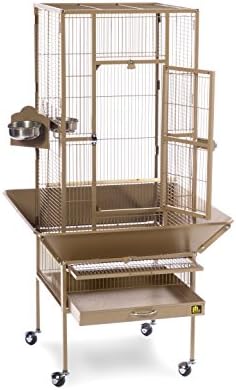 Prevue Pet Products Steel Bird Flight Cage with Wheels - Black, Large | Large Birdcage for Parakeets, Canaries, Finches, Cockatiels, Lovebirds, & Green Cheeks, Metal Standing Birdcage