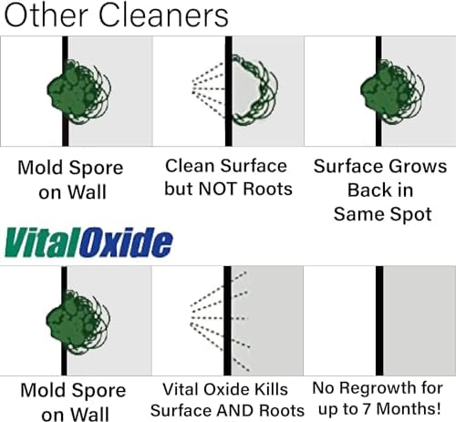 Vital Oxide Disinfectant, Deodorizer, Cleaner, Food-Contact Sanitizer, Virucide – (EPA registration #82972-1) – Kills Mold & Mildew, Eliminates Odors -1 Gallon | EPA registration 82972-1, disinfectant, deodorizer, cleaner, food-contact sanitizer and viru…