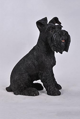 Hi-Line Gift Ltd 87983S-BK Black Schnauzer Garden Statue