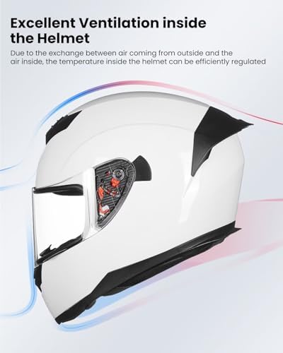 ILM Full Face Motorcycle Helmet for Motocross Street Bike DOT Certified 2 Visors Model-317(Gloss Black, L)