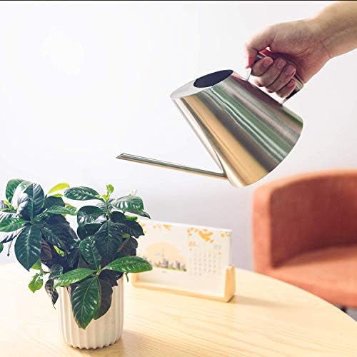 IMEEA Stainless Steel Indoor Watering Can with Long Spout Modern Watering Can for Small Indoor Plants, 50oz / 1.5L Maximum Capacity