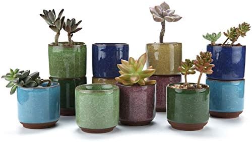 T4U 2.5 Inch Small Ceramic Succulent Planter Pot with Drainage Hole Set of 6, Ice Crack Glaze Plant Container for Cactus, Gardening Plant Gifts for Women Mom Aunt Home Office Decor | Cactus planters set, indoor herb garden, bonsai tree starter, tabletop…