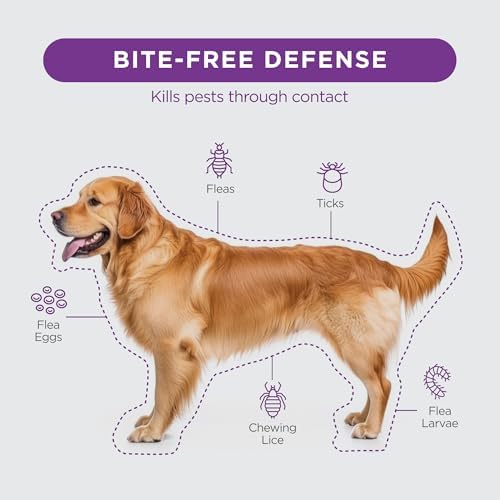 FirstAct Plus Flea Treatment for Dogs, Large Dogs 45-88 lbs, 6 Doses, Same Active Ingredients as Frontline Plus Flea and Tick Prevention for Dogs