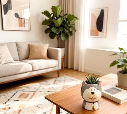 Cuteforyou Succulent Pots,Cute Animal Shaped Cartoon Ceramic Succulent Cactus Flower Planters -Plant Not Included，Cat
