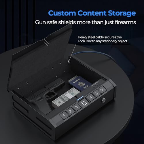 ONNAIS Iron SE Biometric Gun Safe for Handgun with Fingerprint Keypad Lock