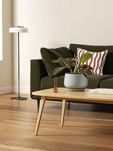LE TAUCI Plant Pots, 4.1+5.1+6.5 inch, Set of 3, Ceramic Planters with Drainage Hole and Saucer, Indoor Flower Pot with Hole Mesh Pad, Gifts for Mom