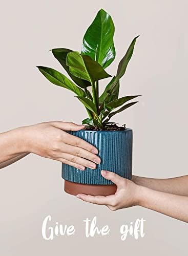 LE TAUCI Ceramic Plant Pots with Drainage Holes, Set of 3, 8+6.7+5.5 Inch Stripe Garden Planter Pots for Outdoor Indoor Plants Flower