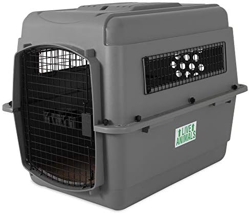 Petmate Sky Kennel - For Air and Travel, Airline Compliant Dog Crate for Pets 50-70 lbs, Heavy Duty Dog Kennel, Made in the USA- 36 Inches