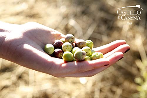 Castillo de Canena Organic Extra Virgin Olive Oil, 500 Milliliters | 16.9 Ounces, Cold Pressed, From Spain, Biodynamic, 100% Environmentally Sustainable, Picual